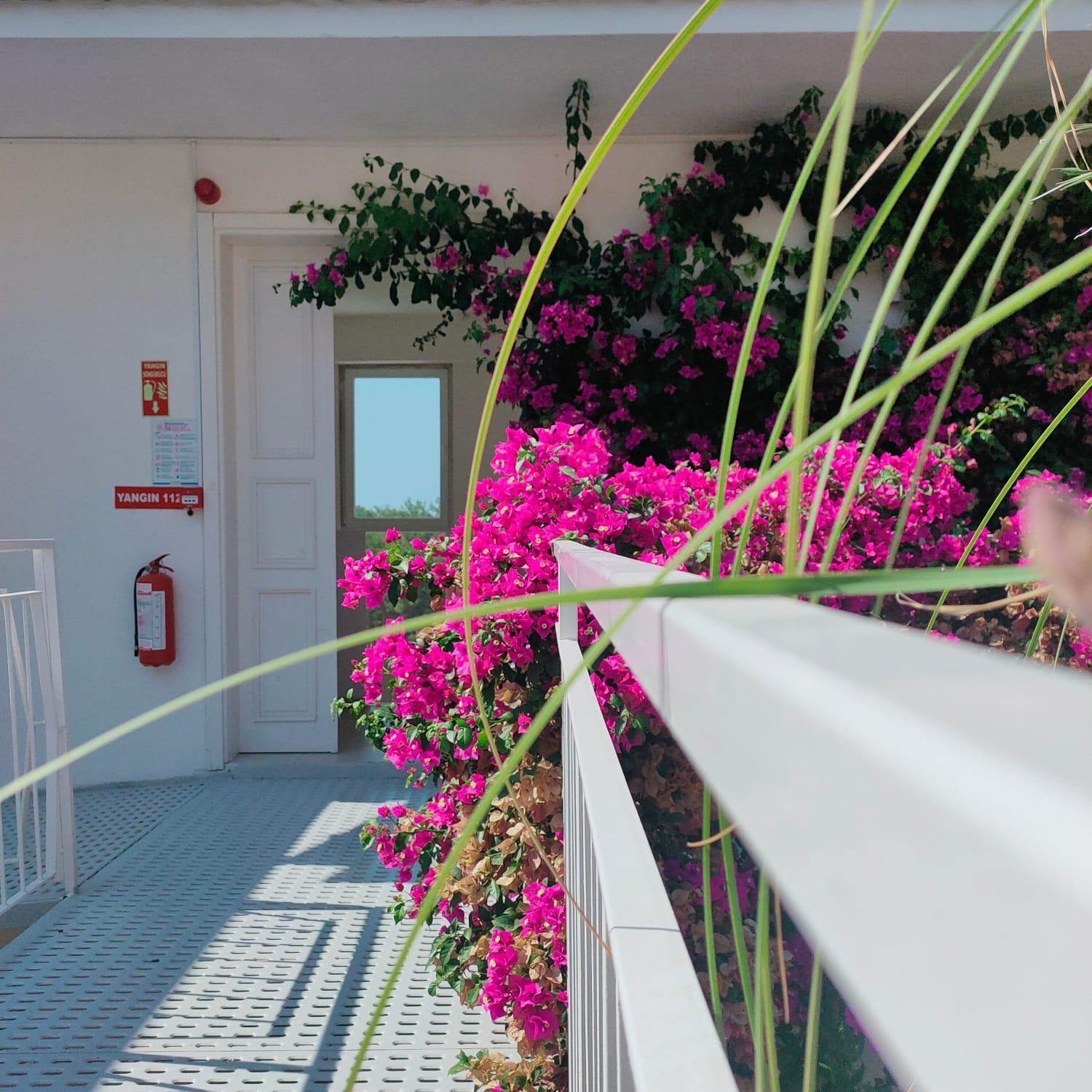 Faralya Tuz Apart Hotel Buitenkant foto